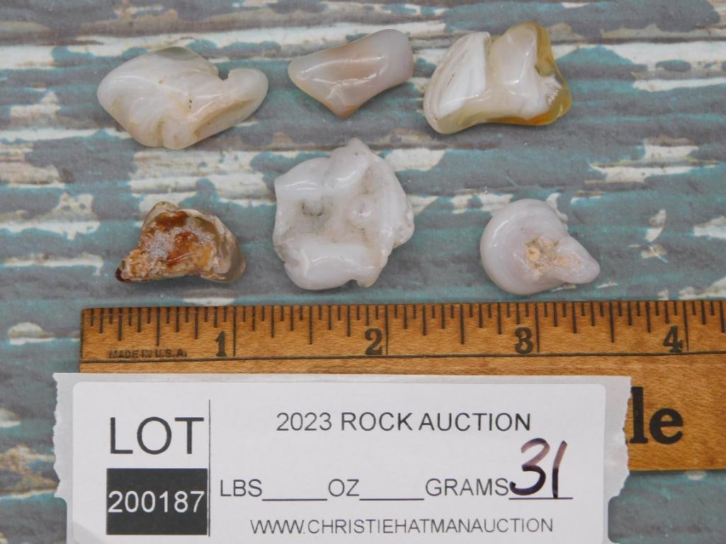 TUMBLED AGATE ROCK STONE LAPIDARY SPECIMEN - 3
