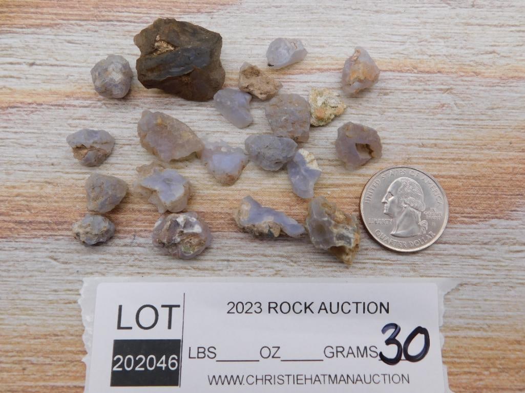 ELLENSBURG AGATE ROCK STONE LAPIDARY SPECIMEN (1 of 1)
