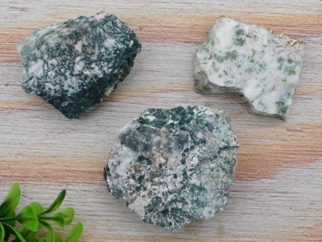 TREE AGATE ROCK STONE LAPIDARY SPECIMEN (1 of 2)