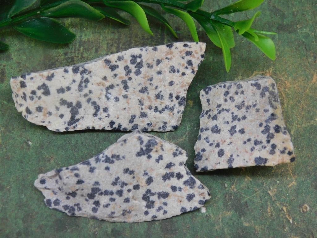 DALMATION JASPER ROCK STONE LAPIDARY SPECIMEN: DALMATION JASPER ROCK STONE LAPIDARY SPECIMEN