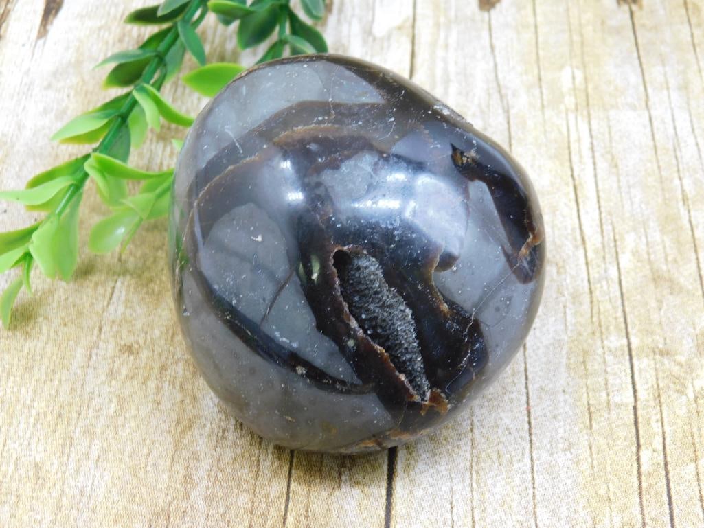 SEPTARIAN DRAGON EGG ROCK STONE LAPIDARY SPECIMEN (1 of 2)