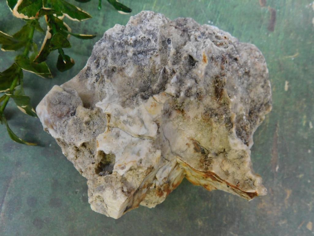 ROCK STONE LAPIDARY SPECIMEN (1 of 2)