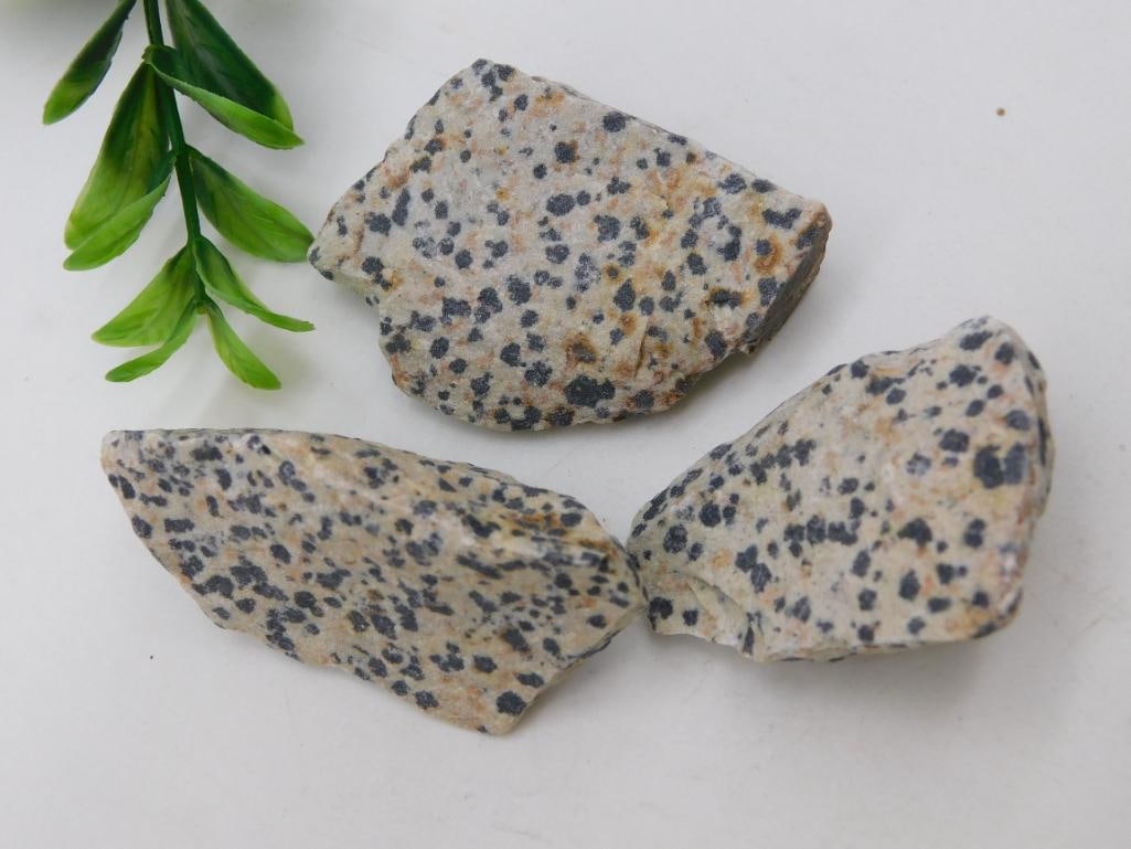 DALMATION JASPER ROCK STONE LAPIDARY SPECIMEN: WELCOME TO HATMAN AUCTIONS! SPECIAL NOTICE: Please see photos for measurements and descriptions. ***Yes, we have in house shipping with MANY REPEAT CUSTOMERS because of our streamlined service.