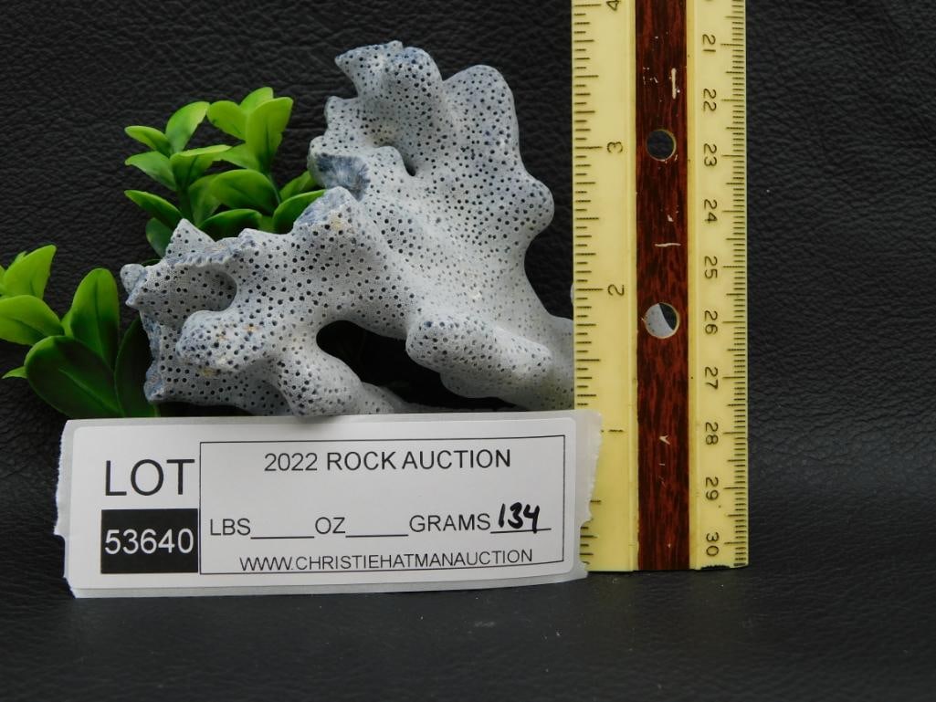 TREE AGATE ROCK STONE LAPIDARY SPECIMEN - 2