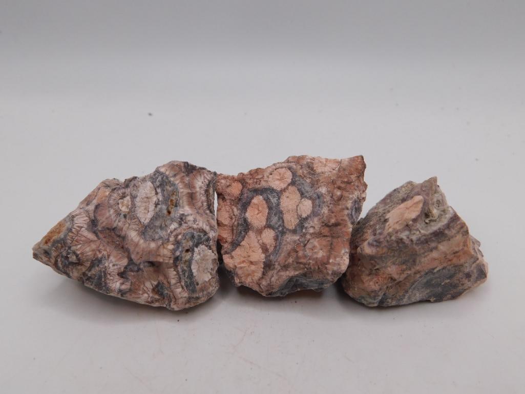 RHYOLITE ROCK STONE LAPIDARY SPECIMEN: WELCOME TO HATMAN AUCTIONS! SPECIAL NOTICE: Please see photos for measurements and descriptions. ***Yes, we have in house shipping with MANY REPEAT CUSTOMERS because of our streamlined service.