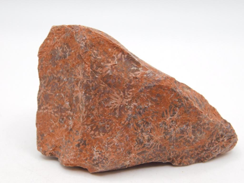 STARBURST JASPER ROCK STONE LAPIDARY SPECIMEN: WELCOME TO HATMAN AUCTIONS! SPECIAL NOTICE: Please see photos for measurements and descriptions. ***Yes, we have in house shipping with MANY REPEAT CUSTOMERS because of our streamlined service.
