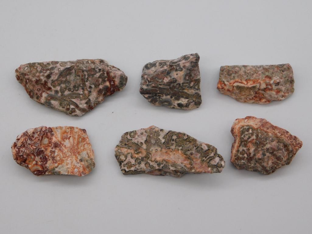 LEOPARD SKIN JASPER ROCK STONE LAPIDARY SPECIMEN: WELCOME TO HATMAN AUCTIONS! SPECIAL NOTICE: Please see photos for measurements and descriptions. ***Yes, we have in house shipping with MANY REPEAT CUSTOMERS because of our streamlined service.