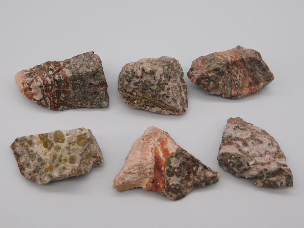 LEOPARD SKIN JASPER ROCK STONE LAPIDARY SPECIMEN: WELCOME TO HATMAN AUCTIONS! SPECIAL NOTICE: Please see photos for measurements and descriptions. ***Yes, we have in house shipping with MANY REPEAT CUSTOMERS because of our streamlined service.