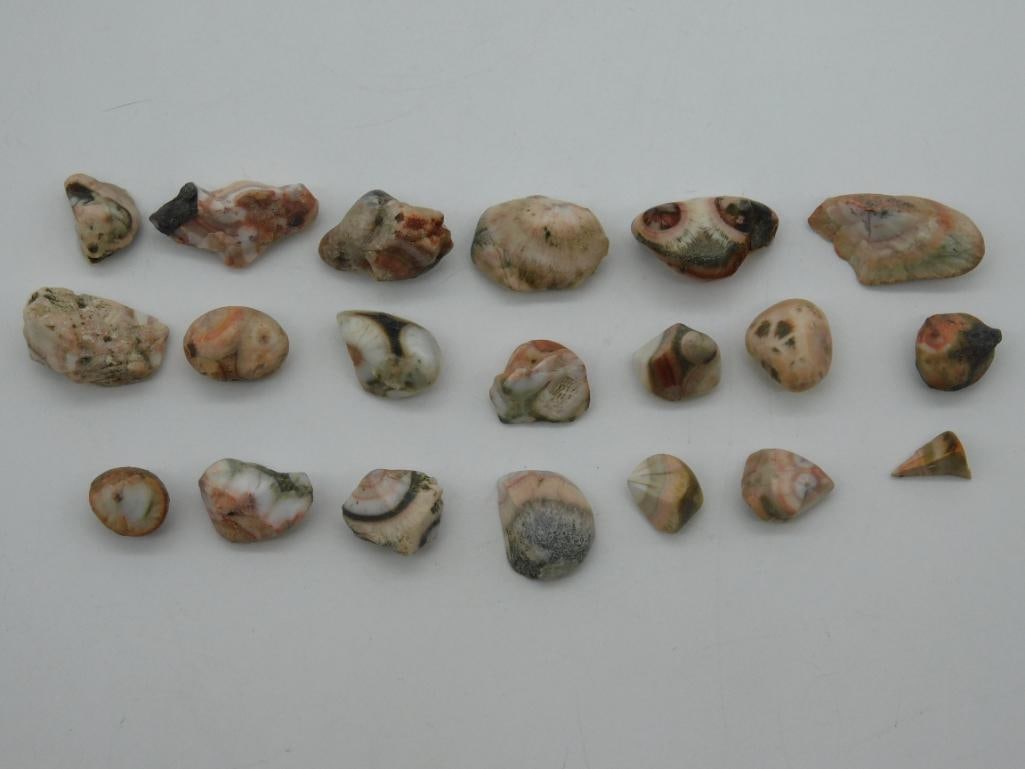 THOMPSONITE ROCK STONE LAPIDARY SPECIMEN: WELCOME TO HATMAN AUCTIONS! SPECIAL NOTICE: Please see photos for measurements and descriptions. ***Yes, we have in house shipping with MANY REPEAT CUSTOMERS because of our streamlined service.