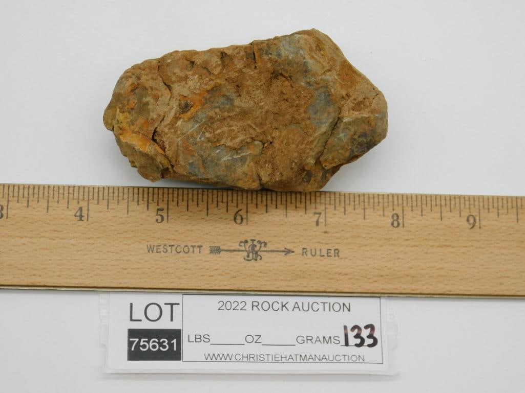 TRILOBITE FOSSIL ROCK STONE LAPIDARY SPECIMEN: WELCOME TO HATMAN AUCTIONS! SPECIAL NOTICE: Please see photos for measurements and descriptions. ***Yes, we have in house shipping with MANY REPEAT CUSTOMERS because of our streamlined service.