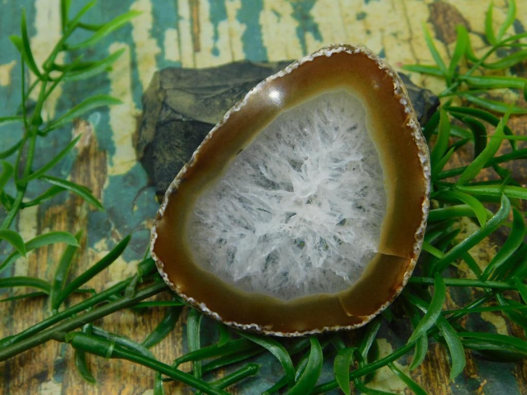 AGATE SLICE ROCK STONE LAPIDARY SPECIMEN: AGATE SLICE ROCK STONE LAPIDARY SPECIMEN