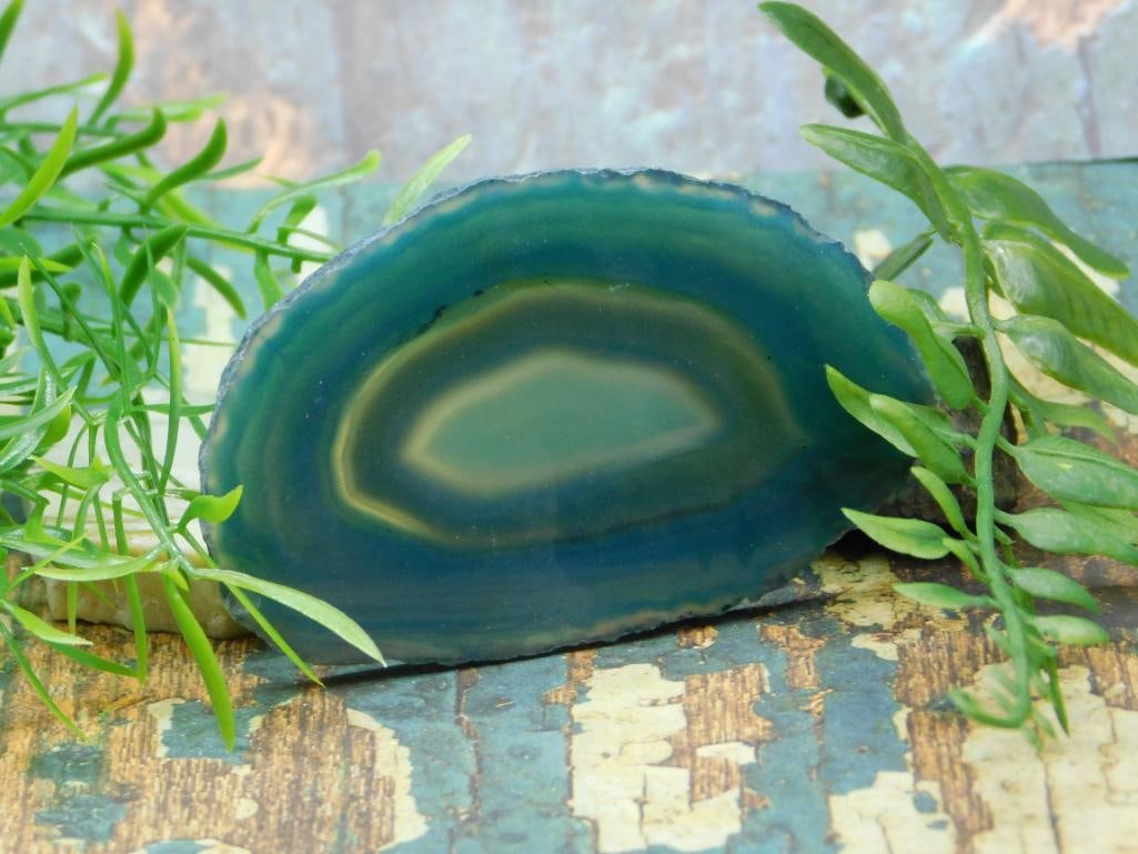 AGATE SLICE ROCK STONE LAPIDARY SPECIMEN (1 of 2)