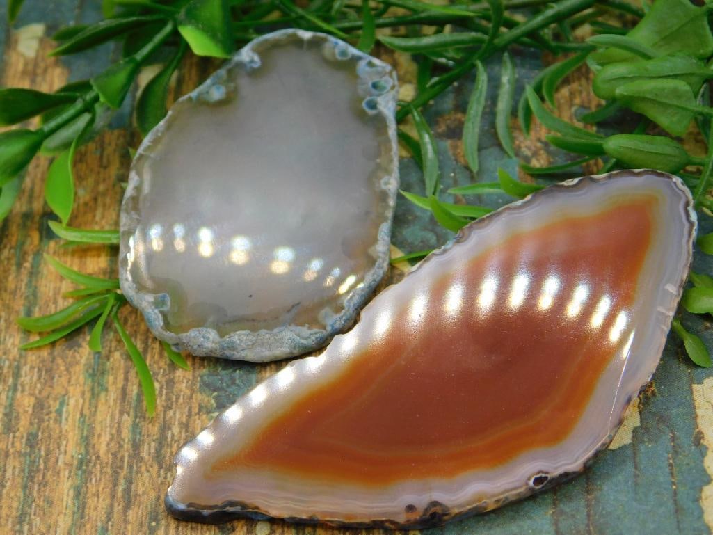 AGATE SLICES ROCK STONE LAPIDARY SPECIMEN: AGATE SLICES ROCK STONE LAPIDARY SPECIMEN