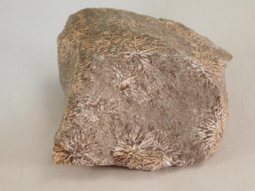 STARBURST JASPER ROCK STONE LAPIDARY SPECIMEN (1 of 2)