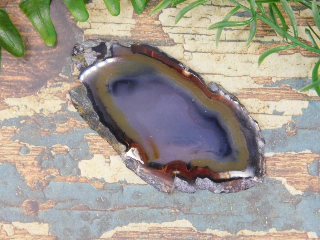 AGATE SLICE ROCK STONE LAPIDARY SPECIMEN: AGATE SLICE ROCK STONE LAPIDARY SPECIMEN
