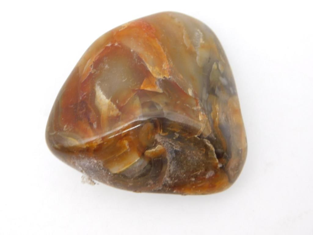 PETRIFIED WOOD ROCK STONE LAPIDARY SPECIMEN (1 of 2)