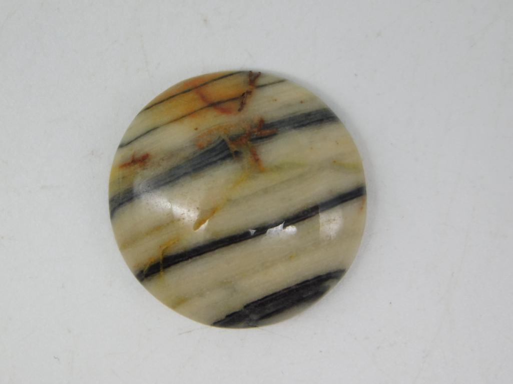 ZEBRA CABOCHON ROCK STONE LAPIDARY SPECIMEN: ZEBRA CABOCHON ROCK STONE LAPIDARY SPECIMEN