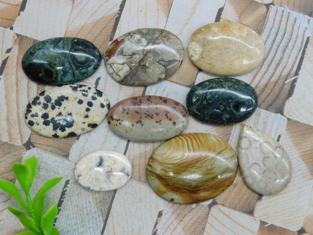 CABOCHONS ROCK STONE LAPIDARY SPECIMEN: WELCOME TO HATMAN AUCTIONS! SPECIAL NOTICE: Please see photos for measurements and descriptions. ***Yes, we have in house shipping with MANY REPEAT CUSTOMERS because of our streamlined service. ****We