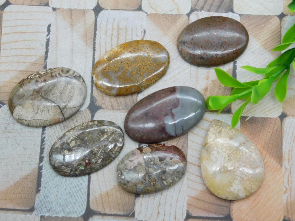 CABOCHONS ROCK STONE LAPIDARY SPECIMEN: WELCOME TO HATMAN AUCTIONS! SPECIAL NOTICE: Please see photos for measurements and descriptions. ***Yes, we have in house shipping with MANY REPEAT CUSTOMERS because of our streamlined service.