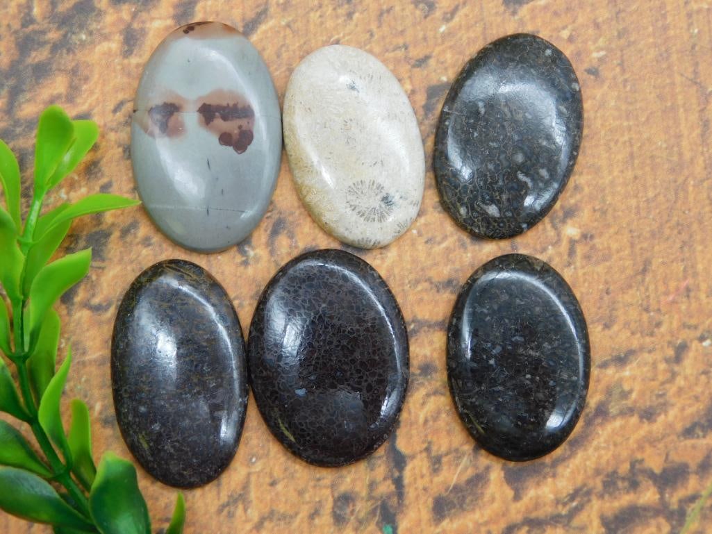 CABOCHONS ROCK STONE LAPIDARY SPECIMEN: WELCOME TO HATMAN AUCTIONS! SPECIAL NOTICE: Please see photos for measurements and descriptions. ***Yes, we have in house shipping with MANY REPEAT CUSTOMERS because of our streamlined service.