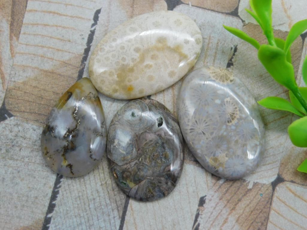 CABOCHONS ROCK STONE LAPIDARY SPECIMEN: WELCOME TO HATMAN AUCTIONS! SPECIAL NOTICE: Please see photos for measurements and descriptions. ***Yes, we have in house shipping with MANY REPEAT CUSTOMERS because of our streamlined service.