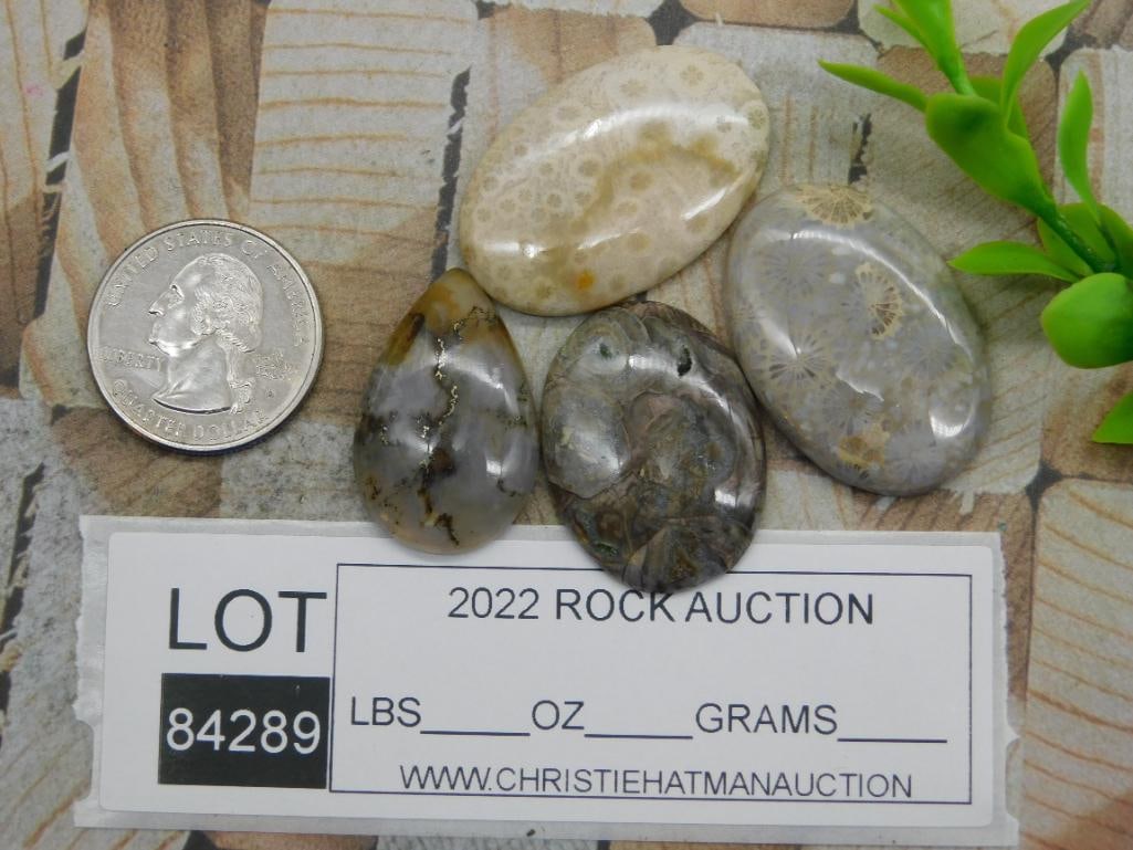 CABOCHONS ROCK STONE LAPIDARY SPECIMEN - 2
