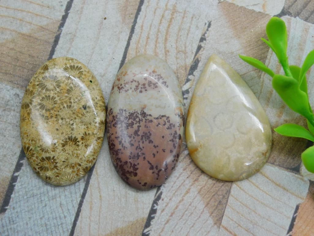CABOCHONS ROCK STONE LAPIDARY SPECIMEN: WELCOME TO HATMAN AUCTIONS! SPECIAL NOTICE: Please see photos for measurements and descriptions. ***Yes, we have in house shipping with MANY REPEAT CUSTOMERS because of our streamlined service. ****We