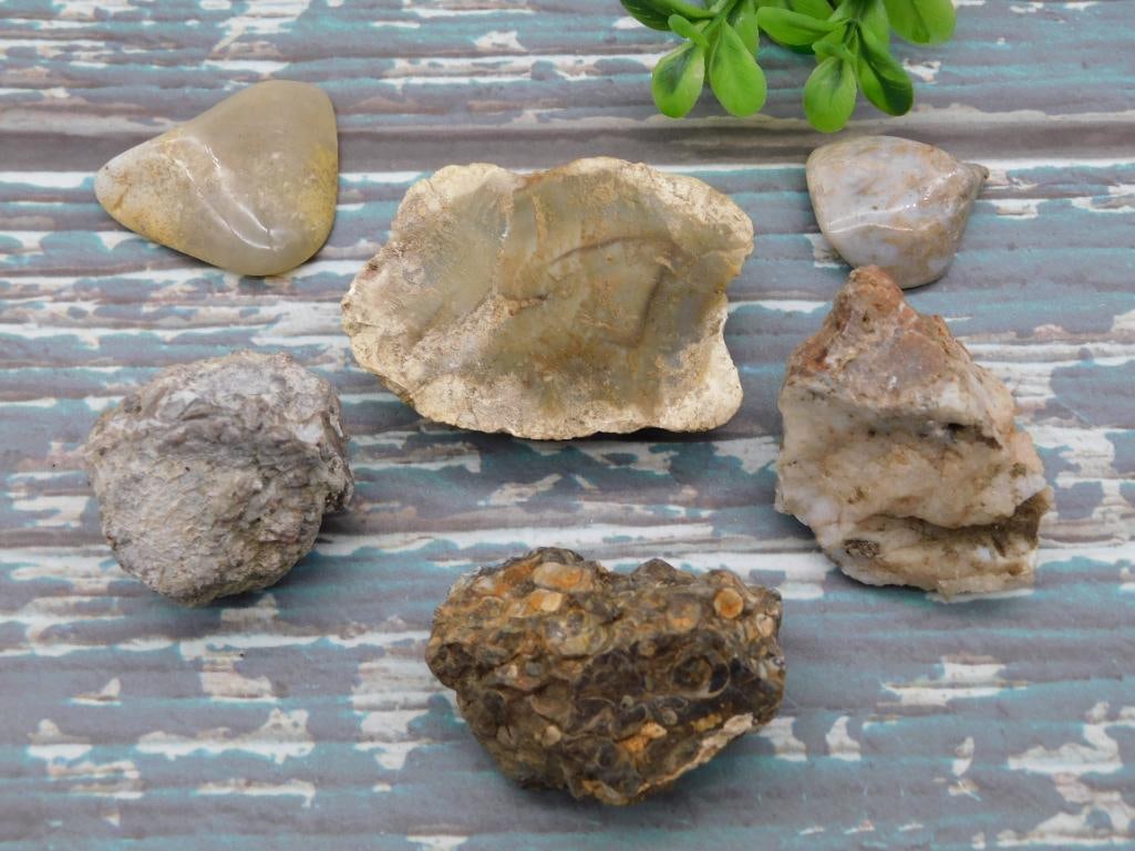 MIXED LOT ROCK STONE LAPIDARY SPECIMEN: WELCOME TO HATMAN AUCTIONS! SPECIAL NOTICE: Please see photos for measurements and descriptions. ***Yes, we have in house shipping with MANY REPEAT CUSTOMERS because of our streamlined service. ****We
