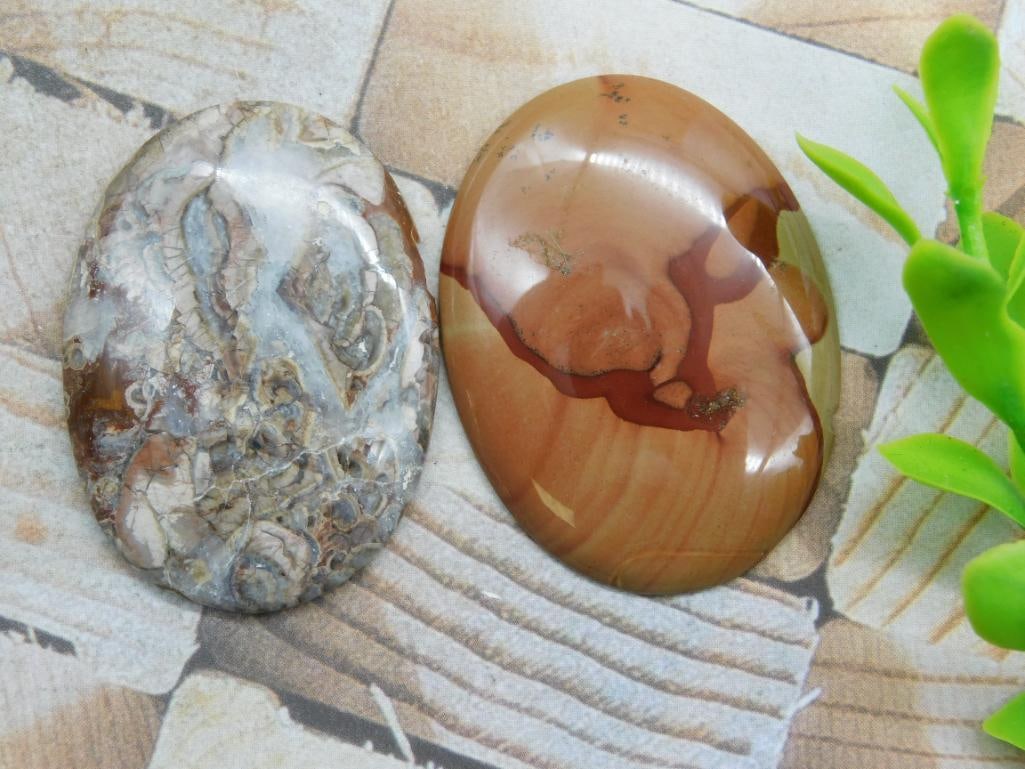 CABOCHONS ROCK STONE LAPIDARY SPECIMEN (1 of 2)