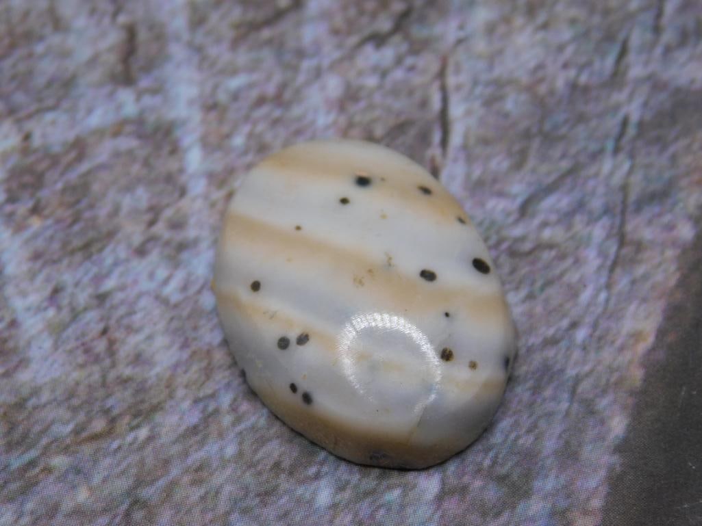 JEWELRY SALE! ROCK STONE LAPIDARY SPECIMEN: WELCOME TO HATMAN AUCTIONS! SPECIAL NOTICE: Please see photos for measurements and descriptions. ***Yes, we have in house shipping with MANY REPEAT CUSTOMERS because of our streamlined service.
