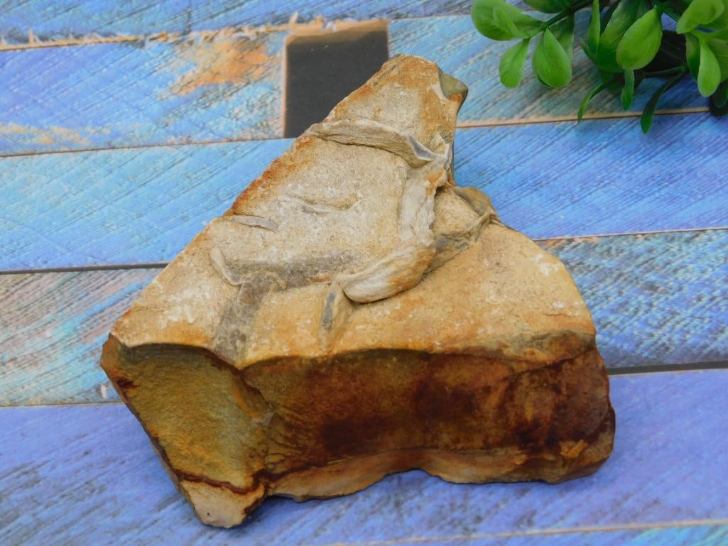 JASPER ROCK STONE LAPIDARY SPECIMEN: WELCOME TO HATMAN AUCTIONS! SPECIAL NOTICE: Please see photos for measurements and descriptions. ***Yes, we have in house shipping with MANY REPEAT CUSTOMERS because of our streamlined service.
