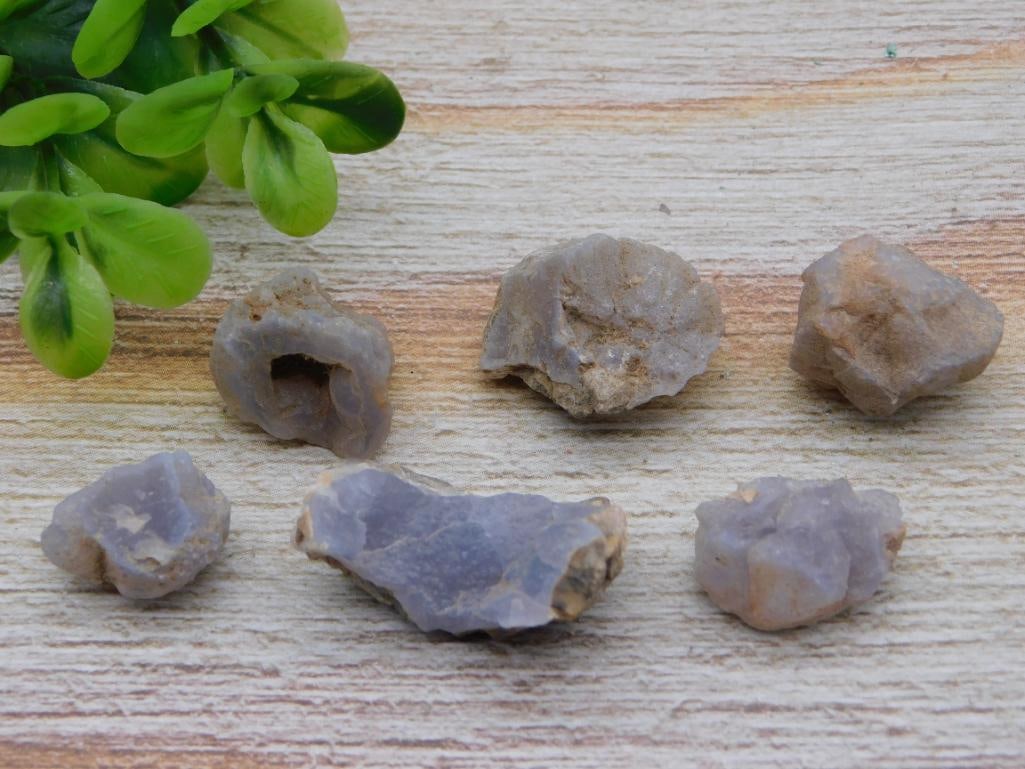 ELLENSBURG AGATE ROCK STONE LAPIDARY SPECIMEN (1 of 2)