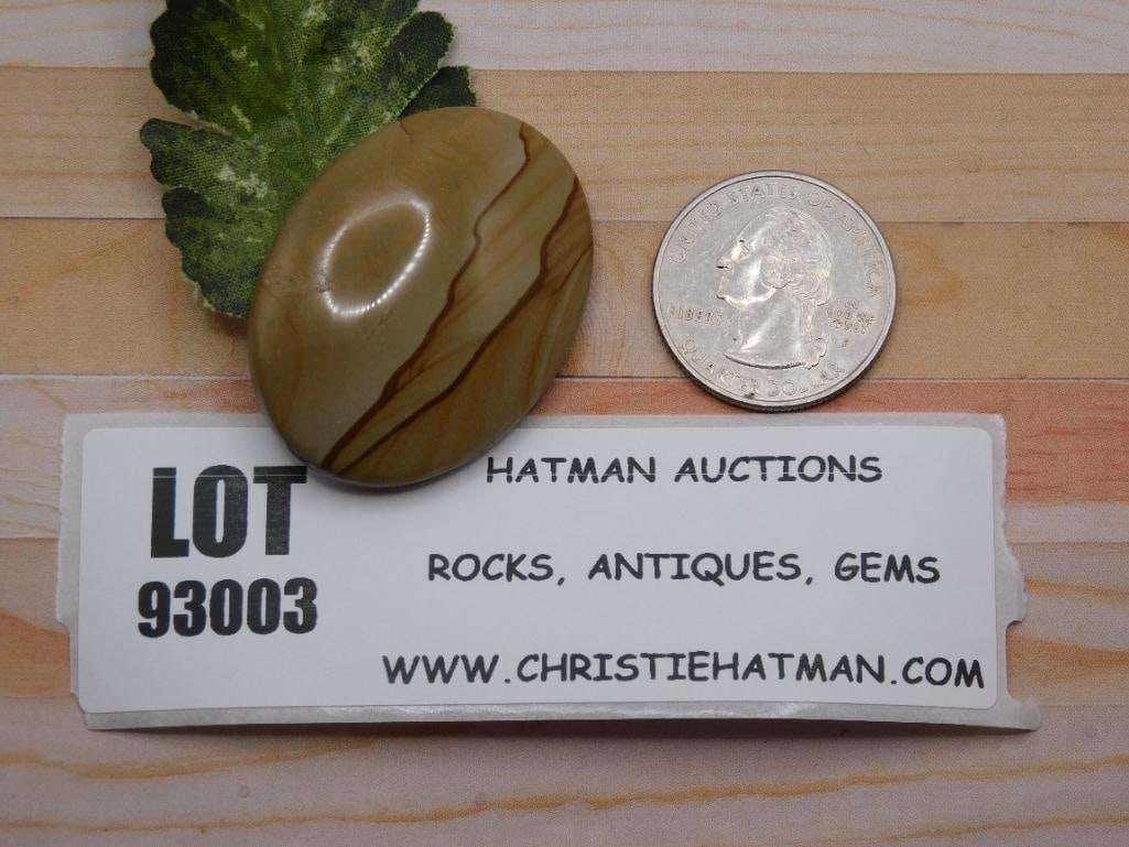 JASPER CABOCHON ROCK STONE LAPIDARY SPECIMEN: JASPER CABOCHON ROCK STONE LAPIDARY SPECIMEN
