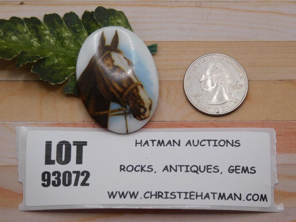 HORSE CABOCHON ROCK STONE LAPIDARY SPECIMEN: HORSE CABOCHON ROCK STONE LAPIDARY SPECIMEN