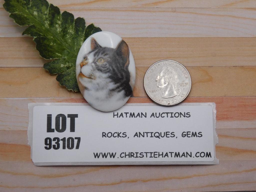 CAT CABOCHON ROCK STONE LAPIDARY SPECIMEN: CAT CABOCHON ROCK STONE LAPIDARY SPECIMEN