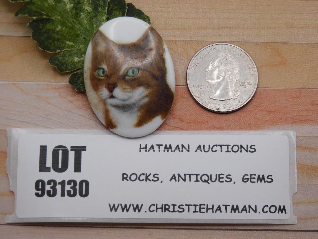 CAT CABOCHON ROCK STONE LAPIDARY SPECIMEN: CAT CABOCHON ROCK STONE LAPIDARY SPECIMEN