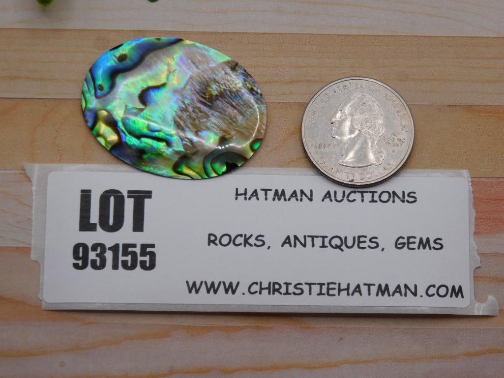ABALONE CABOCHON ROCK STONE LAPIDARY SPECIMEN: ABALONE CABOCHON ROCK STONE LAPIDARY SPECIMEN