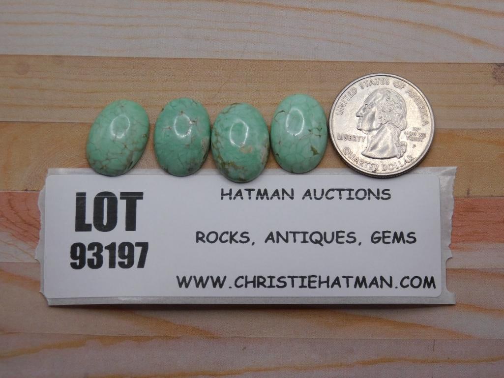 VARISCITE CABOCHON ROCK STONE LAPIDARY SPECIMEN: VARISCITE CABOCHON ROCK STONE LAPIDARY SPECIMEN