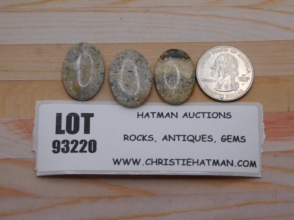 CRAZY LACE CABOCHONS ROCK STONE LAPIDARY SPECIMEN (1 of 1)