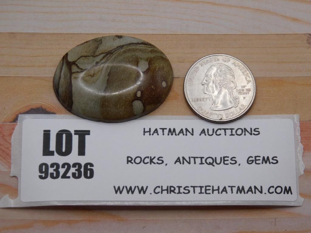 JASPER CABOCHON ROCK STONE LAPIDARY SPECIMEN: JASPER CABOCHON ROCK STONE LAPIDARY SPECIMEN