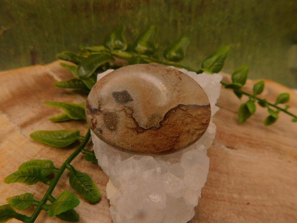 JEWELRY SALE! ROCK STONE LAPIDARY SPECIMEN: WELCOME TO HATMAN AUCTIONS! SPECIAL NOTICE: Please see photos for measurements and descriptions. ***Yes, we have in house shipping with MANY REPEAT CUSTOMERS because of our streamlined service. ****We