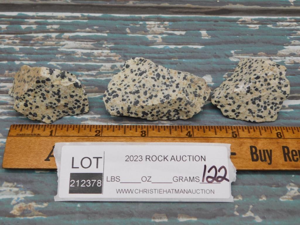 DALMATION JASPER ROCK STONE LAPIDARY SPECIMEN - 2