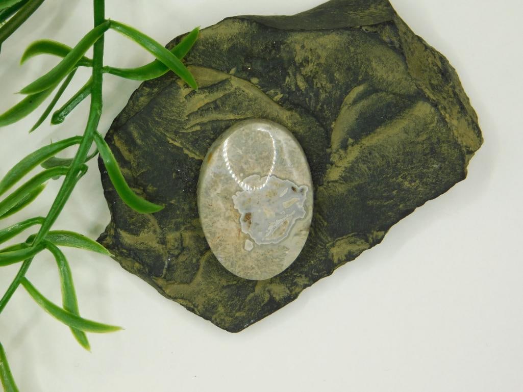 JEWELRY SALE! ROCK STONE LAPIDARY SPECIMEN: WELCOME TO HATMAN AUCTIONS! SPECIAL NOTICE: Please see photos for measurements and descriptions. ***Yes, we have in house shipping with MANY REPEAT CUSTOMERS because of our streamlined service. ****We