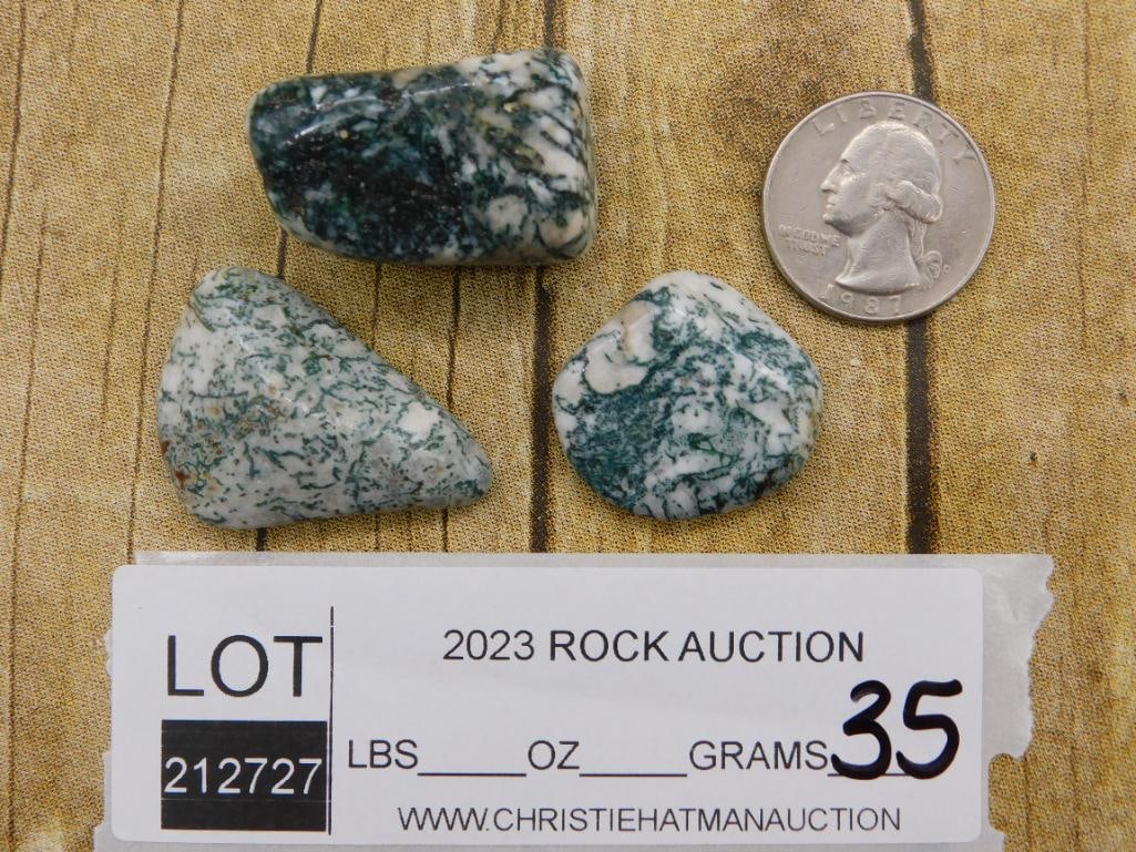 TREE AGATE ROCK STONE LAPIDARY SPECIMEN - 3