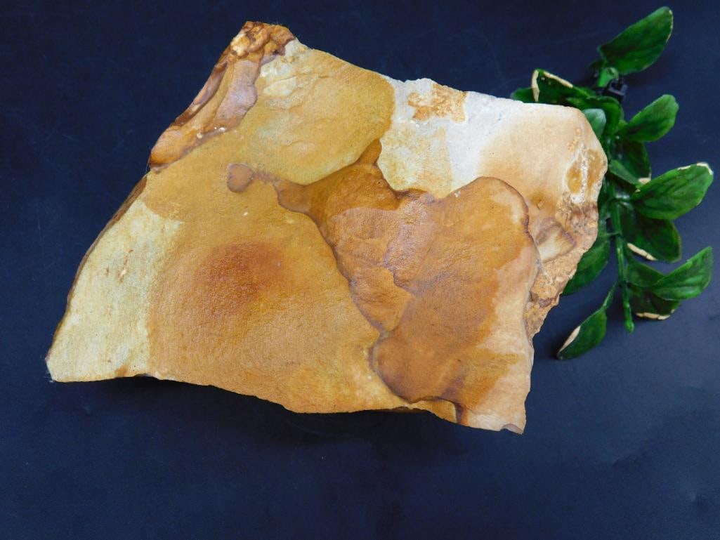 JASPER ROCK STONE LAPIDARY SPECIMEN: JASPER ROCK STONE LAPIDARY SPECIMEN
