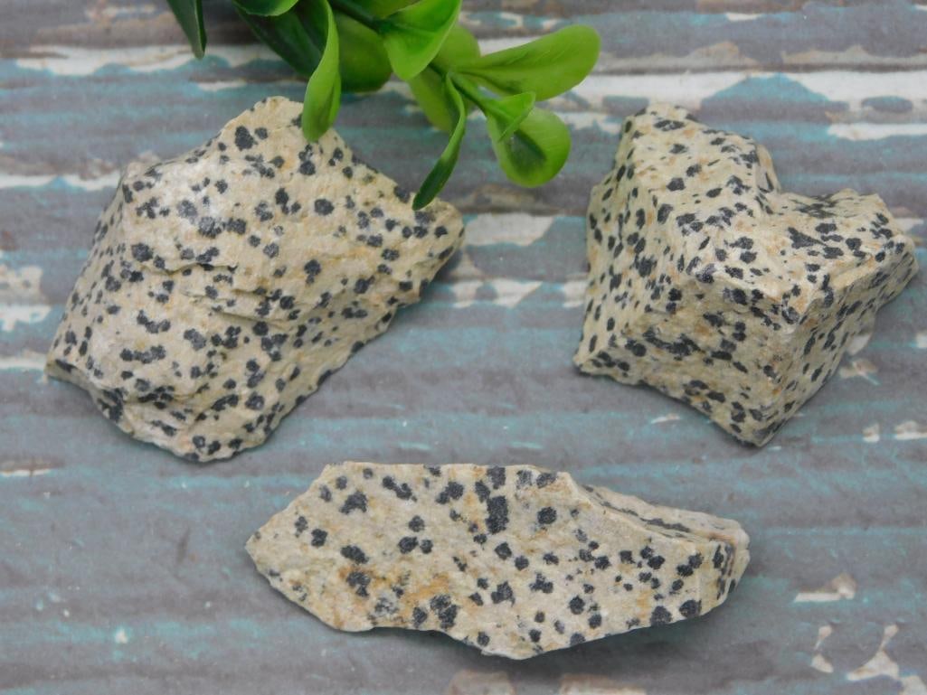 DALMATION JASPER ROCK STONE LAPIDARY SPECIMEN: DALMATION JASPER ROCK STONE LAPIDARY SPECIMEN