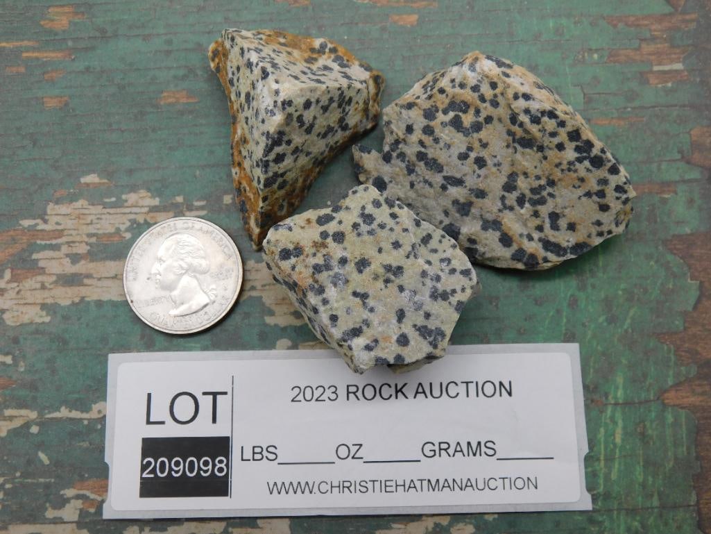DALMATION JASPER ROCK STONE LAPIDARY SPECIMEN - 2