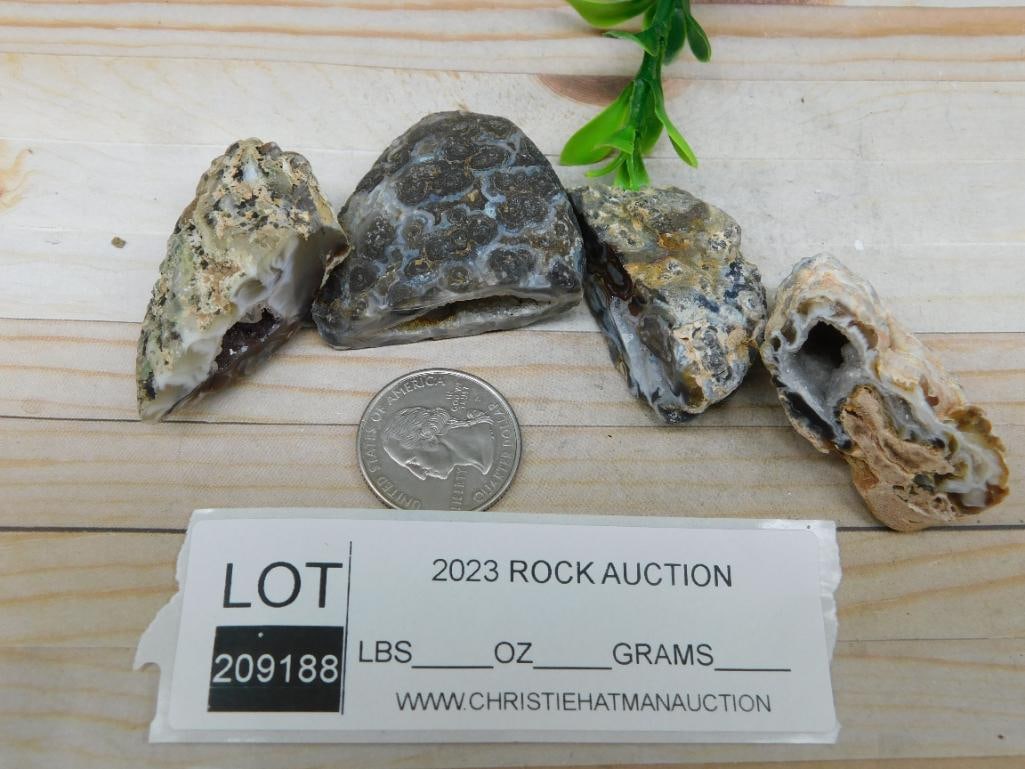 OCO GEODES ROCK STONE LAPIDARY SPECIMEN - 3