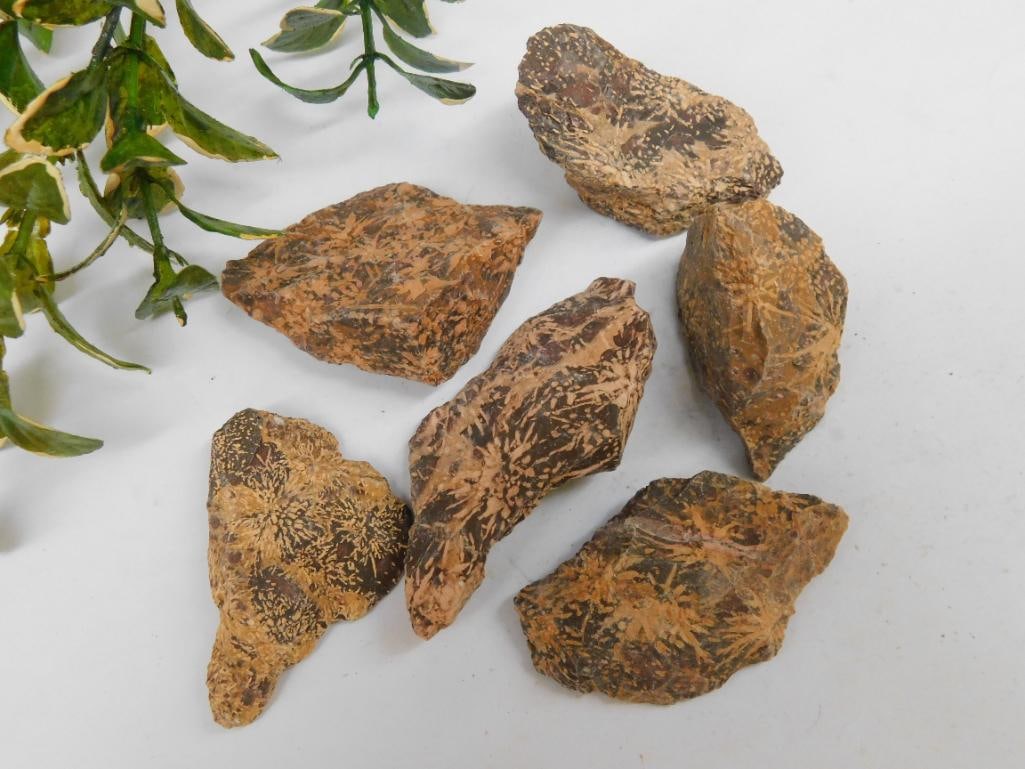 STARBURST JASPER ROCK STONE LAPIDARY SPECIMEN: WELCOME TO HATMAN AUCTIONS! SPECIAL NOTICE: Please see photos for measurements and descriptions. ***Yes, we have in house shipping with MANY REPEAT CUSTOMERS because of our streamlined service. ****We
