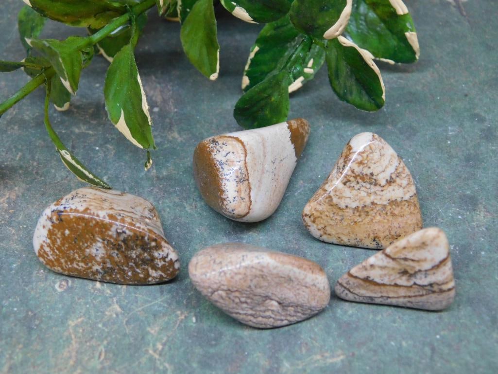 PICTURE JASPER ROCK STONE LAPIDARY SPECIMEN: PICTURE JASPER ROCK STONE LAPIDARY SPECIMEN